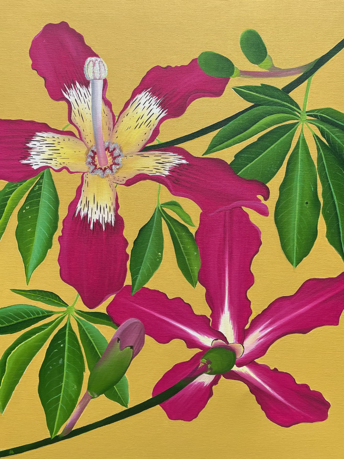 Pintura de flores rosas de paineira