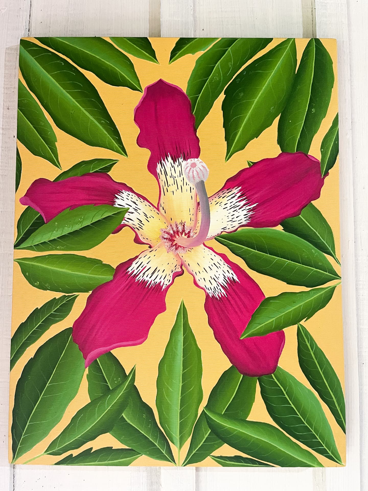 Pintura de flor rosa de paineira