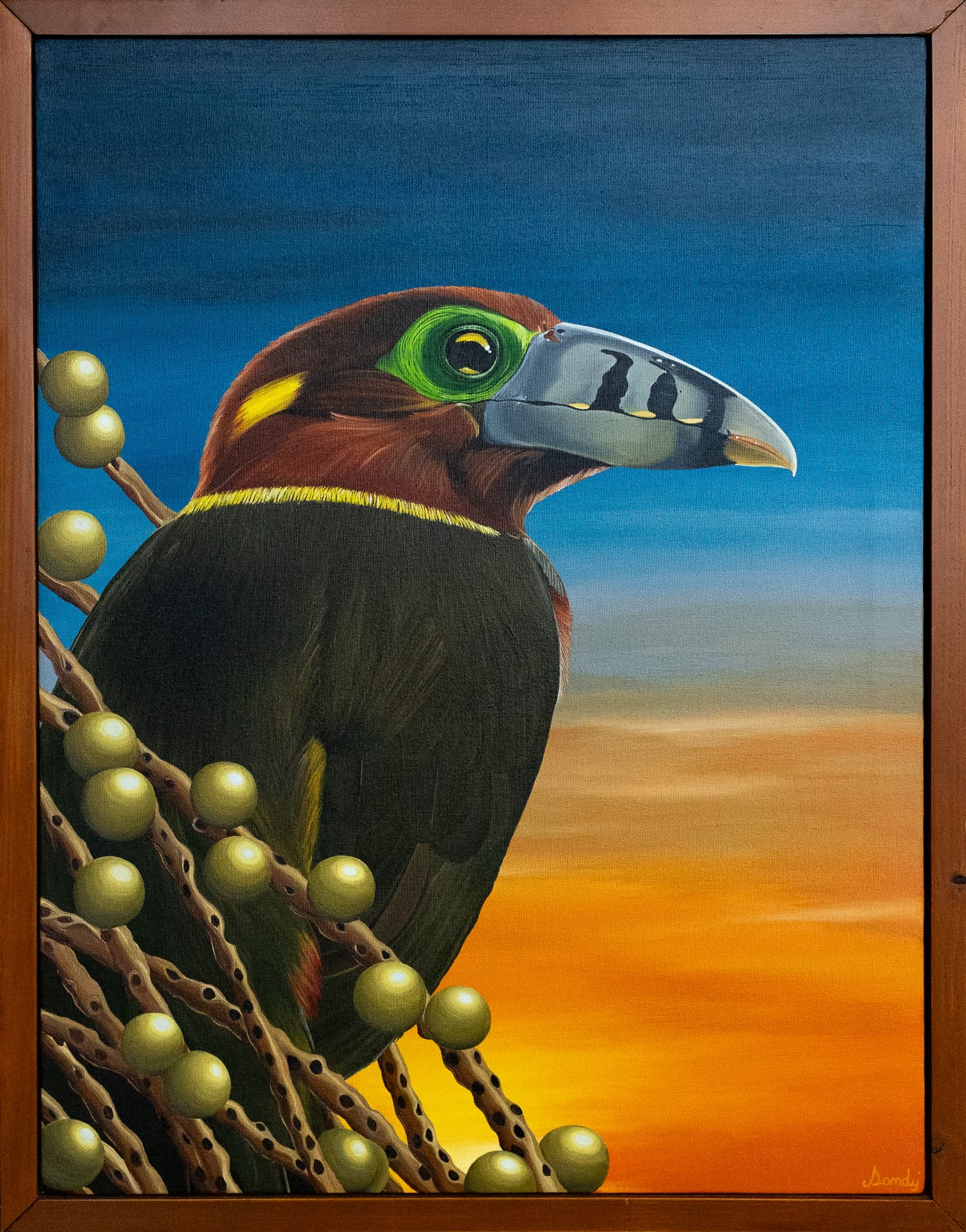 Pintura de araçari-poca