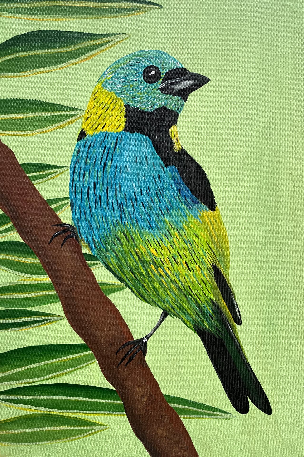 Pintura de saíra-sete-cores