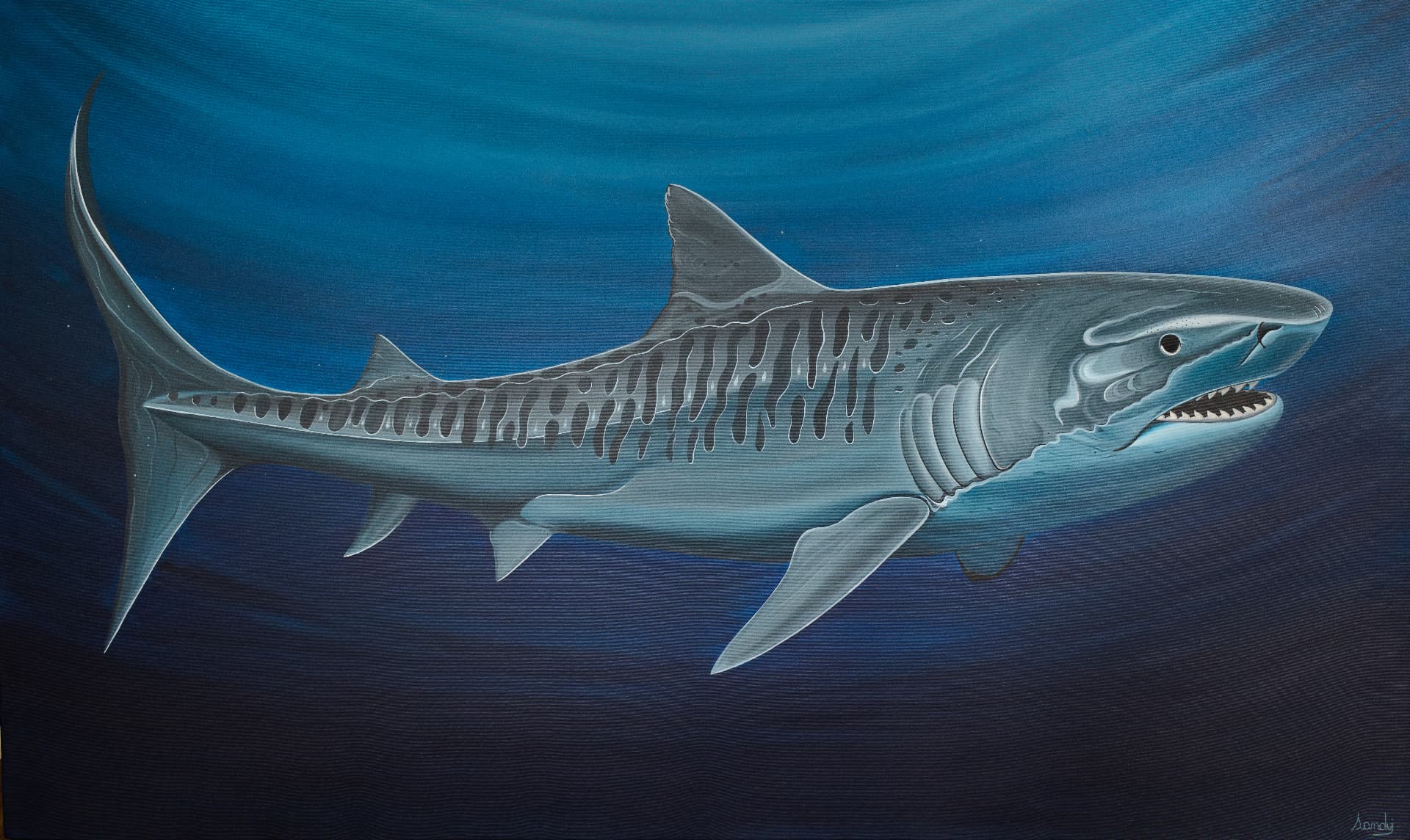 Pintura de um tubarão-tigre