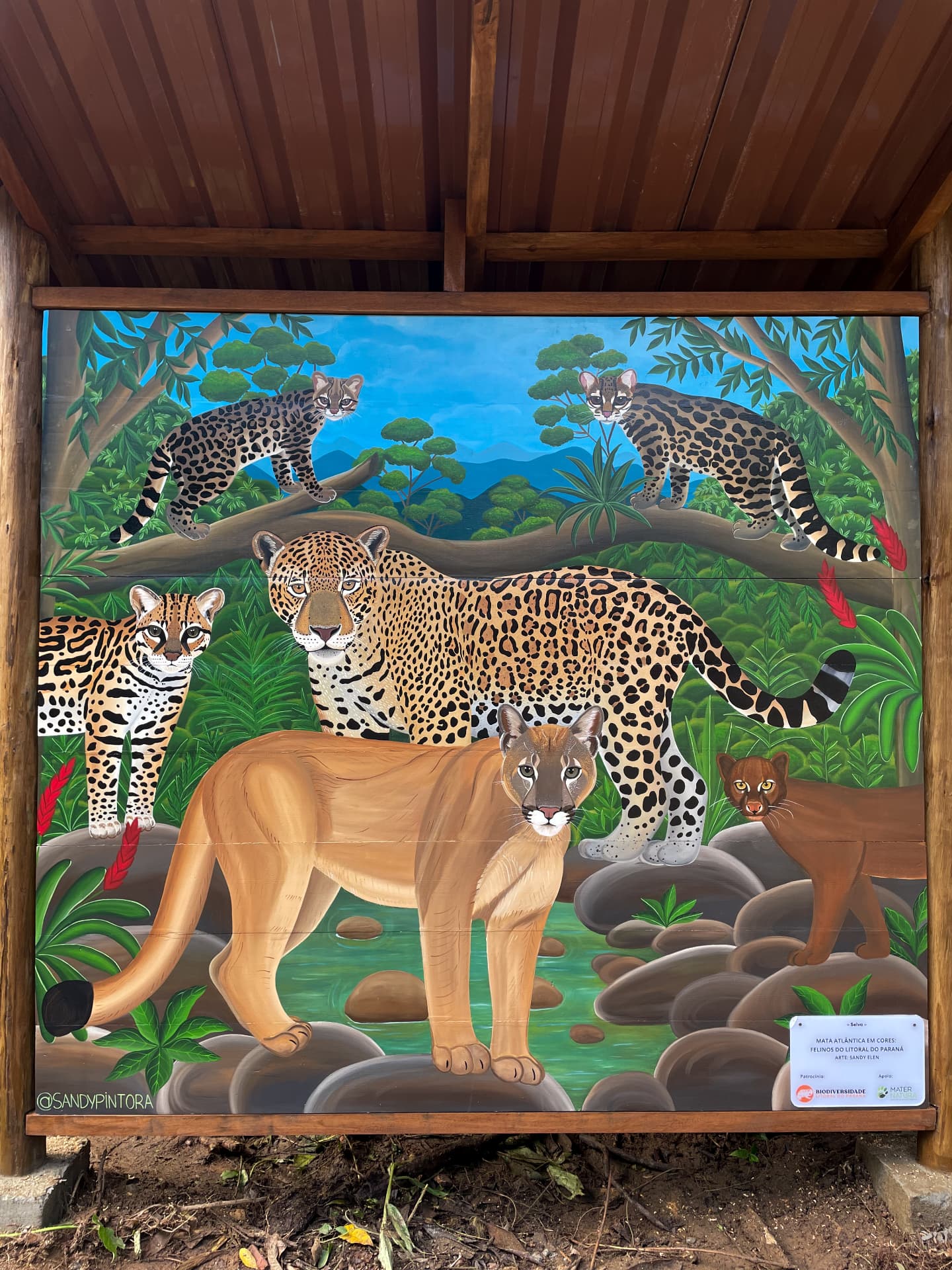 Obra completa com felinos da Mata Atlântica