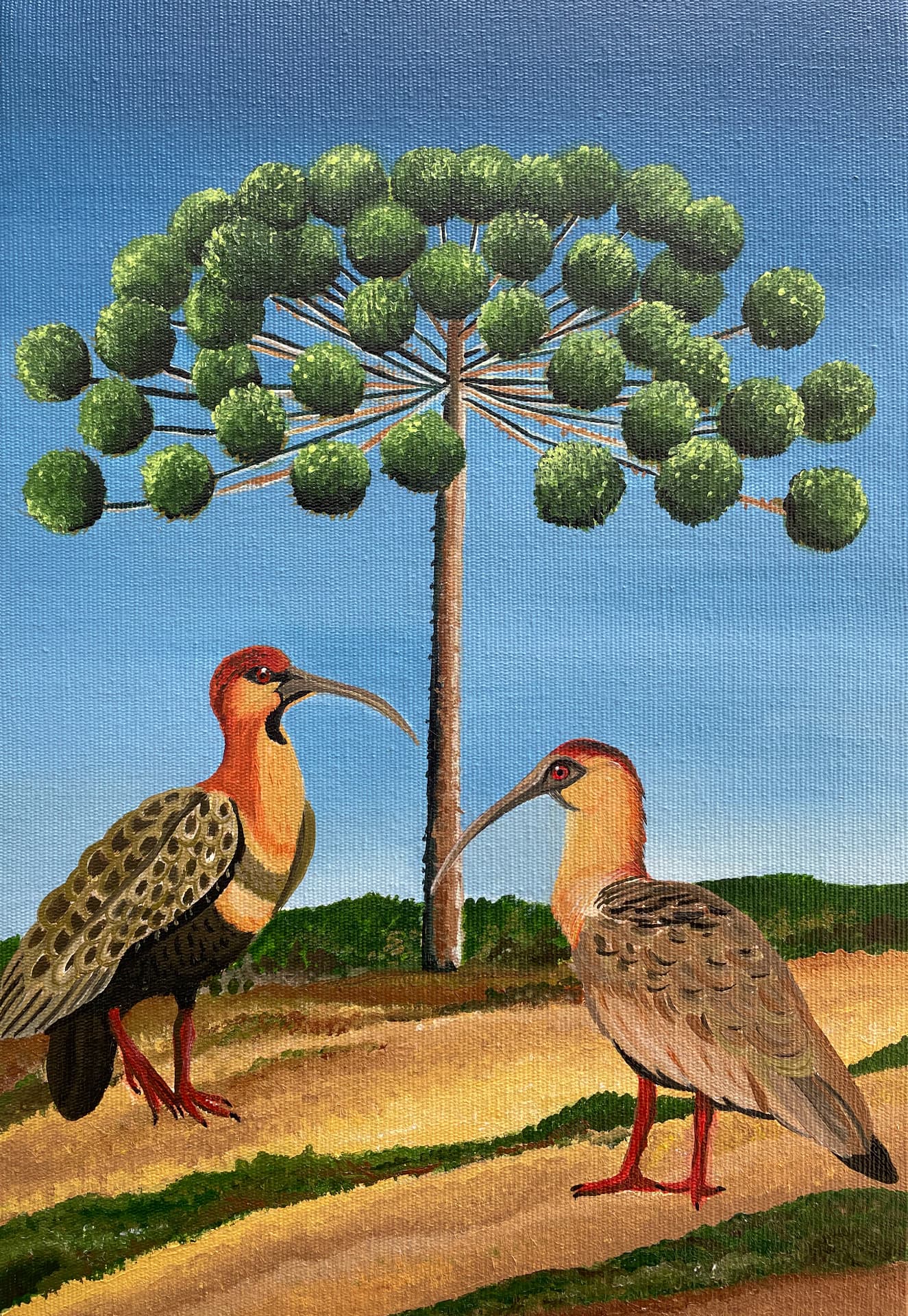 Pintura de duas curicacas diante de uma araucária