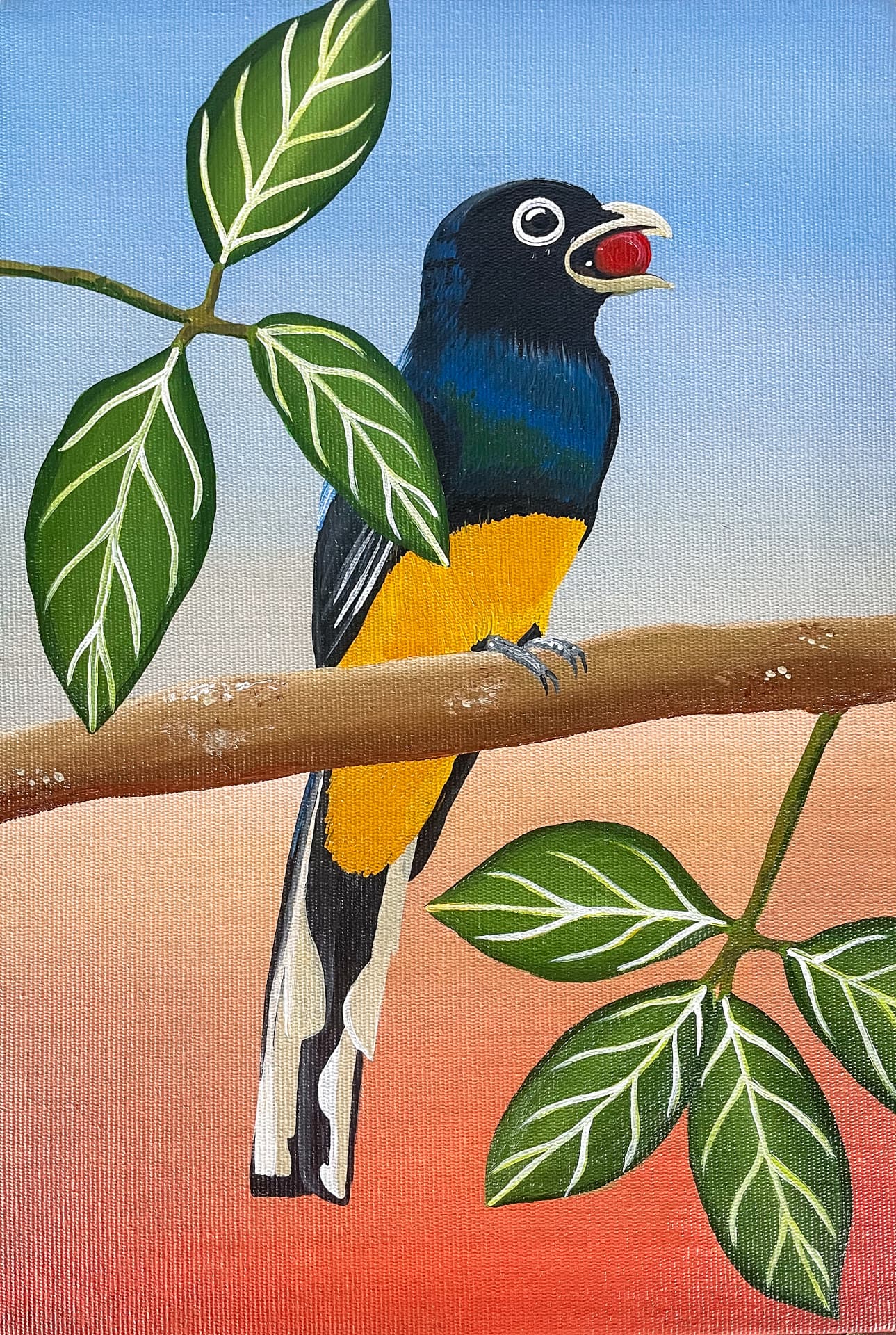 Pintura de surucuá-de-peito-amarelo