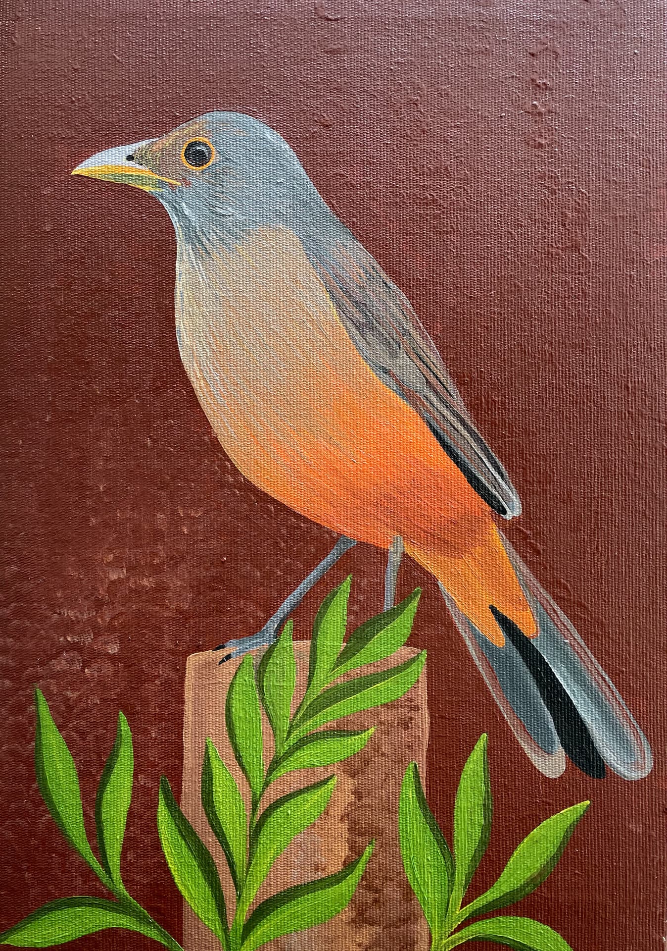 Pintura de pássaro da Mata Atlântica